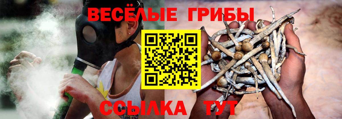 Чита  Псилоцибиновые грибы Magic Shrooms  Вход с VPN 